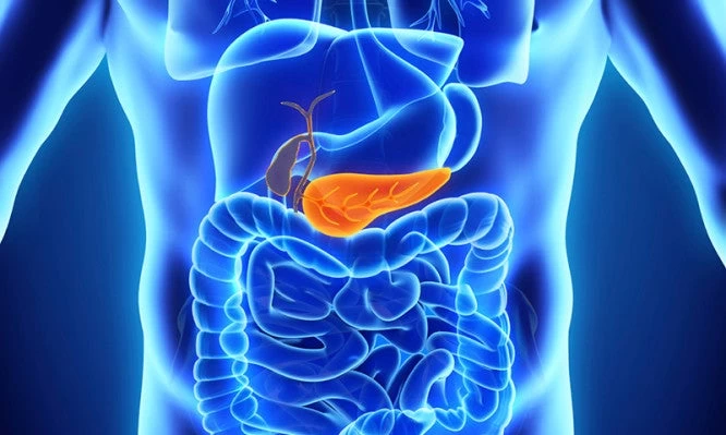 Αυτές είναι οι 8 ευεργετικές τροφές για το πάγκρεας!